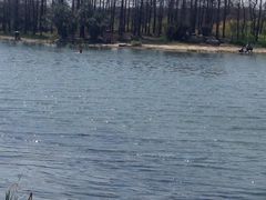 iphone_upload_pic-新江湾城公园