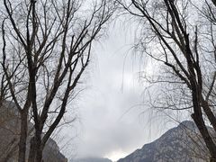 -禅宗少林·音乐大典