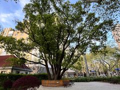 -徐家汇源景区-衡山公园