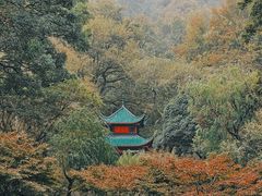 -岳麓山风景名胜区