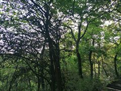 -杭州半山国家森林公园