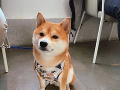 -苦尽酒馆·川菜(鼓楼店)