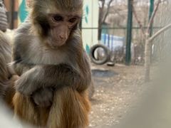 -水上乐园·欢乐世界