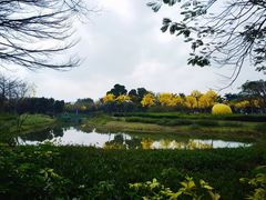 -顺峰山公园