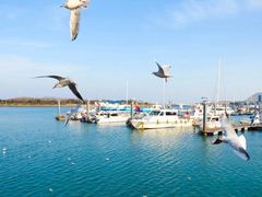 -日照灯塔风景区