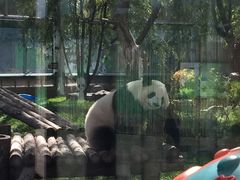 -鄂尔多斯野生动物园