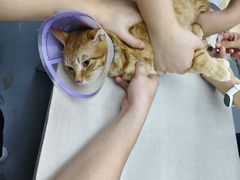 -拜鲁耶动物诊疗中心·宠家动物医院