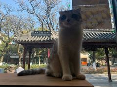 -作咖啡(养育巷店)