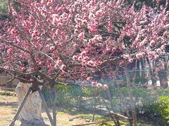 -山东大学(威海校区)