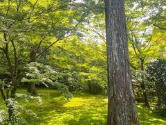 -三千院