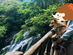 -永泰中国云顶
