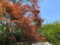 -杭州植物园