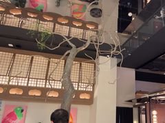 -桂满陇·海市蜃楼·黑金(国金店)