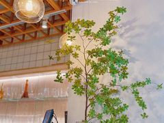 -森Some Fusion(荔湾店)