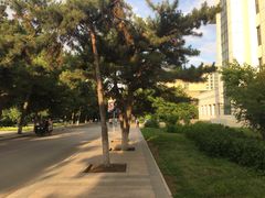-东北大学(南湖校区)