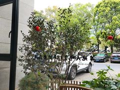 -黄山老妈·土菜(碧桂园店)