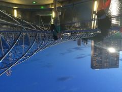 iphone_upload_pic-鱼尾狮公园
