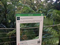 -热带雨林自然公园