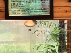 -上海大自然野生昆虫馆(东方明珠·爬宠昆虫探索中心)
