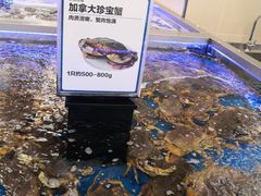 -盒马X会员店(上海森兰商都店)