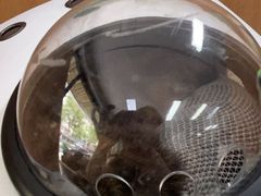 -联合动物医院(光谷诊疗中心)