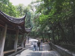 -灵岩山风景区