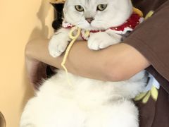 -江南西(地铁站)