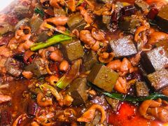 -后卫寨猫耳朵(后卫寨店)