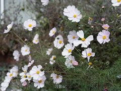 -孟屯河谷景区