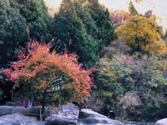 -狼牙山风景区
