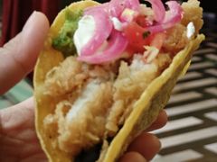 -Famous肥猫墨西哥音乐餐吧(五棵松华熙LIVE店)