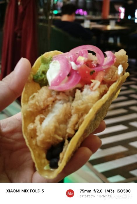 Famous肥猫墨西哥音乐餐吧(五棵松华熙LIVE店)图片