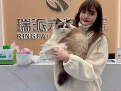 -瑞派康怡24h宠物医院·犬猫医疗中心·微创绝育(瑞景分院)