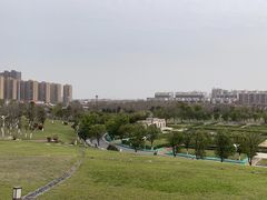 -八大山人梅湖景区