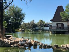 -静之湖湖畔餐厅