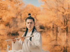-金塔沙漠胡杨林景区