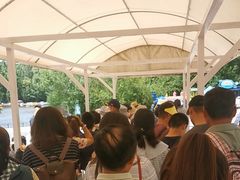 -五营红松林海景区