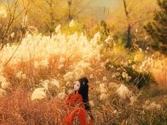 -九月鹰飞汉服摄影工作室