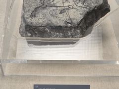 -亳州博物馆