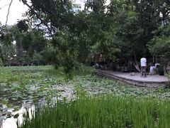-莲湖公园