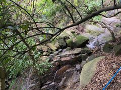 -火炉山森林公园