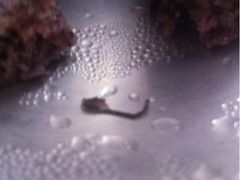 iphone_upload_pic-一品方糕专卖店