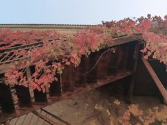 -辽宁大学(崇山校区)
