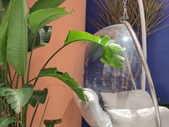 -夏日玛莉西餐厅(金茂览秀城店)
