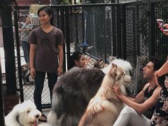 -TrueLove @ Neverland (Husky Cafe)