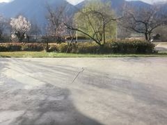 -林芝工布庄园希尔顿酒店-猎味中餐厅