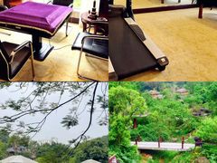 -罗浮山嘉宝田森林温泉度假酒店