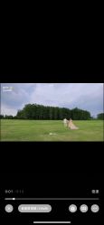 -蒙太奇婚纱摄影(万达店)