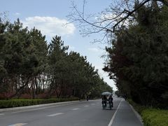 -山东八大碗山东老字号