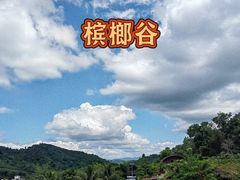-海南槟榔谷黎苗文化旅游区